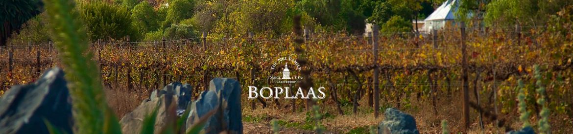 boplaas.jpg