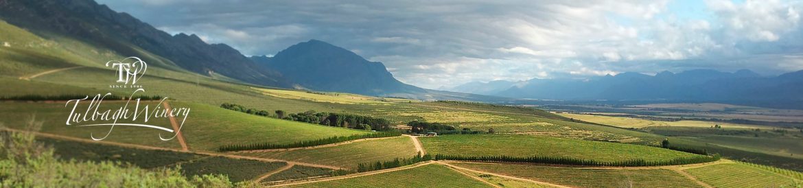 tulbagh.jpg