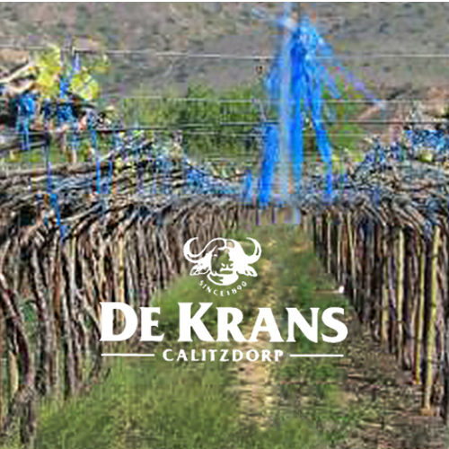 De-Krans-logo_clipped_rev_1.png