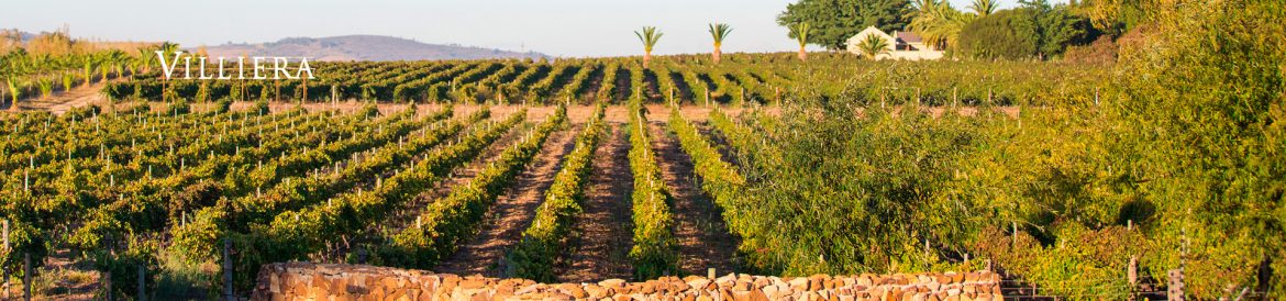 villiera.jpg