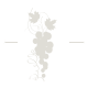 line_clipped_rev_1.png